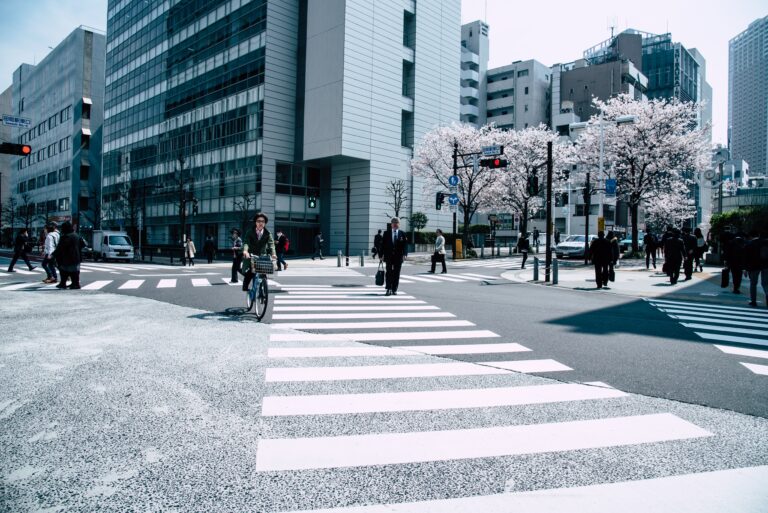 Study in Japan: A World of Opportunity Awaits